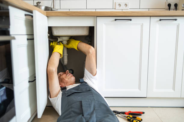 Best Clogged Drain Plumber  in Valley, NE